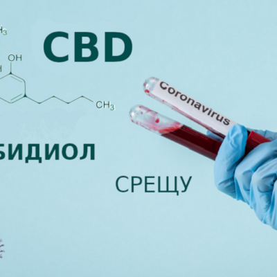 Канабидиол (CBD) в превенцията и лечението на COVID-19